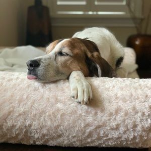 Meet your Posher, Teresa